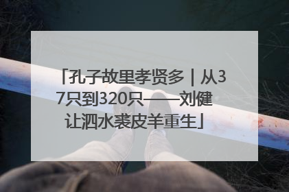 孔子故里孝贤多｜从37只到320只——刘健让泗水裘皮羊重生