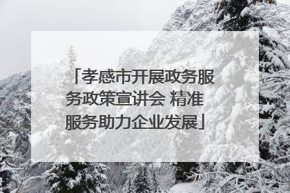 孝感市开展政务服务政策宣讲会 精准服务助力企业发展