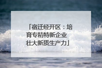 宿迁经开区：培育专精特新企业 壮大新质生产力