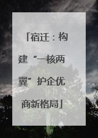 宿迁：构建“一核两翼”护企优商新格局