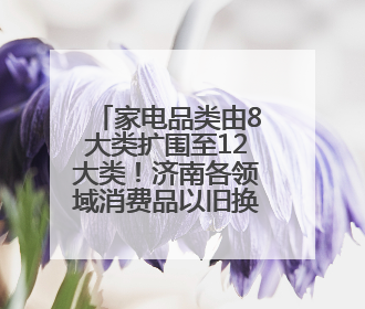 家电品类由8大类扩围至12大类！济南各领域消费品以旧换新直接带动消费157.2亿元