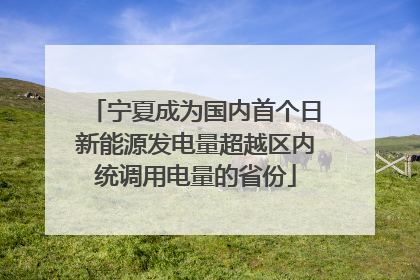 宁夏成为国内首个日新能源发电量超越区内统调用电量的省份