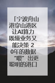 宁波舟山港穿山港区让AI算力既懂业务又能决策 20年的数据“喂”出更聪明的港口