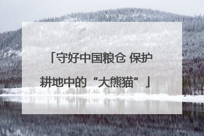 守好中国粮仓 保护耕地中的“大熊猫”