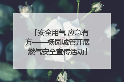 安全用气 应急有方——杨园城管开展燃气安全宣传活动