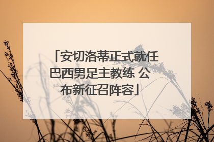 安切洛蒂正式就任巴西男足主教练 公布新征召阵容
