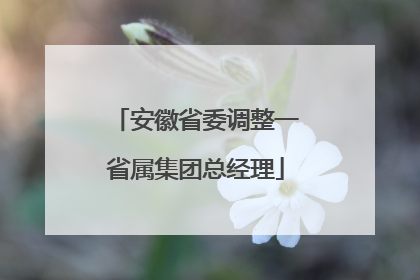 安徽省委调整一省属集团总经理