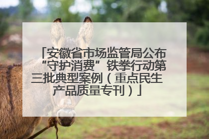 安徽省市场监管局公布“守护消费”铁拳行动第三批典型案例（重点民生产品质量专刊）