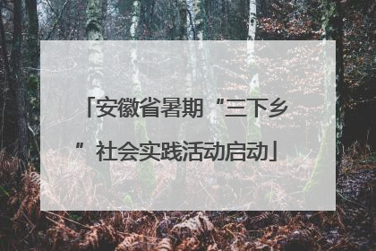 安徽省暑期“三下乡”社会实践活动启动
