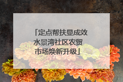 定点帮扶显成效 水景湾社区农贸市场焕新升级