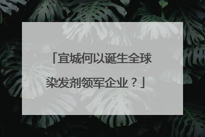 宜城何以诞生全球染发剂领军企业？