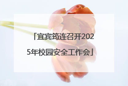 宜宾筠连召开2025年校园安全工作会