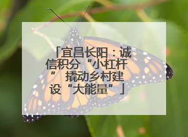 宜昌长阳：诚信积分“小杠杆” 撬动乡村建设“大能量”