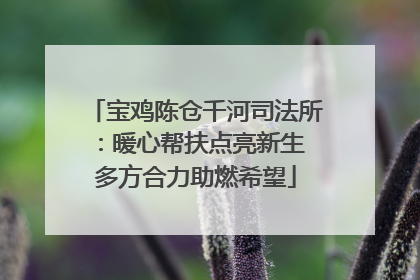 宝鸡陈仓千河司法所：暖心帮扶点亮新生 多方合力助燃希望
