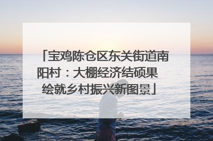 宝鸡陈仓区东关街道南阳村：大棚经济结硕果 绘就乡村振兴新图景