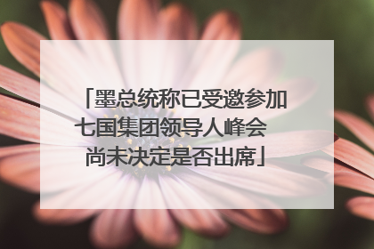 墨总统称已受邀参加七国集团领导人峰会 尚未决定是否出席
