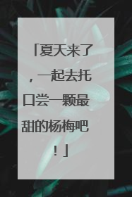 夏天来了，一起去托口尝一颗最甜的杨梅吧！