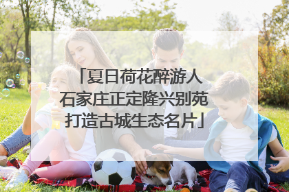 夏日荷花醉游人 石家庄正定隆兴别苑打造古城生态名片