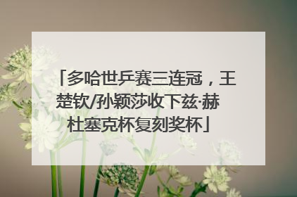 多哈世乒赛三连冠，王楚钦/孙颖莎收下兹·赫杜塞克杯复刻奖杯