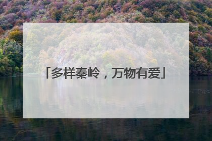 多样秦岭，万物有爱