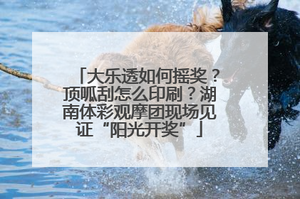 大乐透如何摇奖？顶呱刮怎么印刷？湖南体彩观摩团现场见证“阳光开奖”