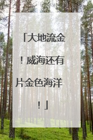 大地流金！威海还有片金色海洋！