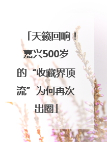 天籁回响！嘉兴500岁的“收藏界顶流”为何再次出圈