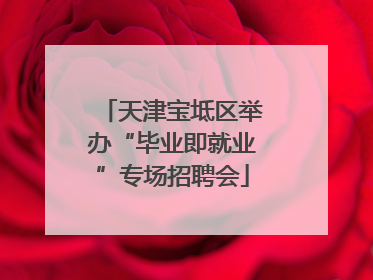 天津宝坻区举办“毕业即就业”专场招聘会