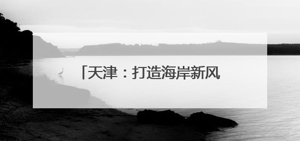 天津：打造海岸新风光 激活文旅新活力