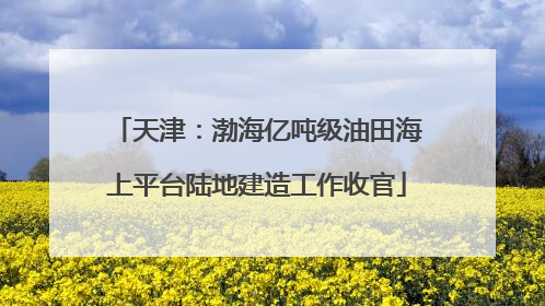 天津：渤海亿吨级油田海上平台陆地建造工作收官