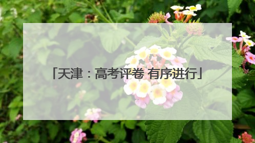 天津：高考评卷 有序进行