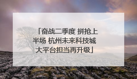奋战二季度 拼抢上半场 杭州未来科技城大平台担当再升级