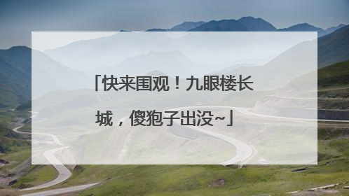 快来围观！九眼楼长城，傻狍子出没~