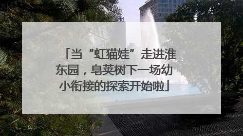 当“虹猫娃”走进淮东园，皂荚树下一场幼小衔接的探索开始啦