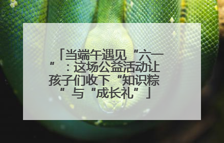 当端午遇见“六一”：这场公益活动让孩子们收下“知识粽”与“成长礼”