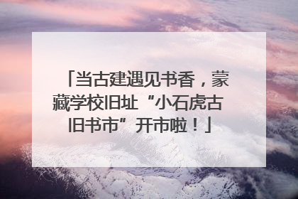 当古建遇见书香，蒙藏学校旧址“小石虎古旧书市”开市啦！