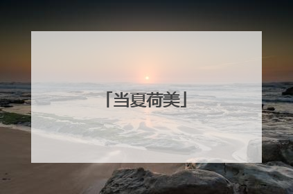 当夏荷美