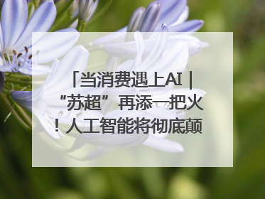 当消费遇上AI｜“苏超”再添一把火！人工智能将彻底颠覆绿茵场？