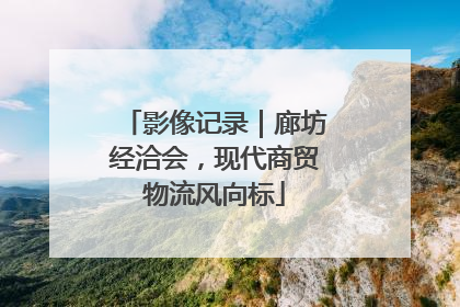 影像记录｜廊坊经洽会，现代商贸物流风向标
