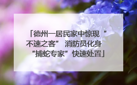 德州一居民家中惊现“不速之客” 消防员化身“捕蛇专家”快速处置