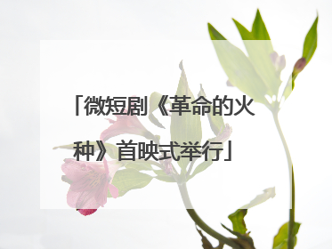 微短剧《革命的火种》首映式举行