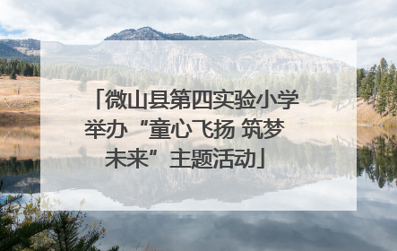 微山县第四实验小学举办“童心飞扬 筑梦未来”主题活动