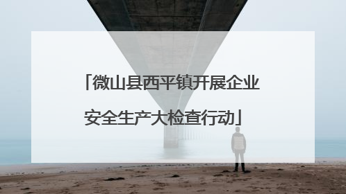 微山县西平镇开展企业安全生产大检查行动
