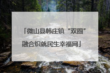 微山县韩庄镇“双圈”融合织就民生幸福网