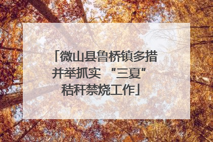 微山县鲁桥镇多措并举抓实 “三夏” 秸秆禁烧工作