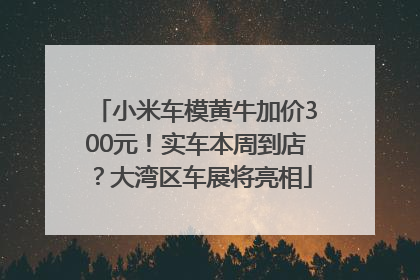 小米车模黄牛加价300元！实车本周到店？大湾区车展将亮相