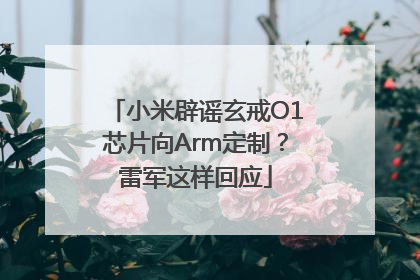 小米辟谣玄戒O1芯片向Arm定制？雷军这样回应
