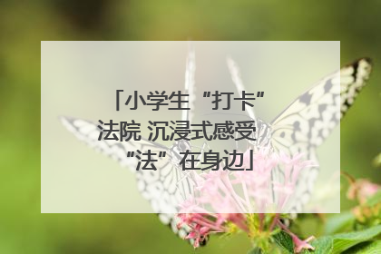 小学生“打卡”法院 沉浸式感受“法”在身边