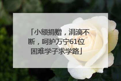 小额捐赠，涓滴不断，呵护万宁61位困难学子求学路