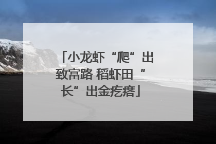 小龙虾“爬”出致富路 稻虾田“长”出金疙瘩